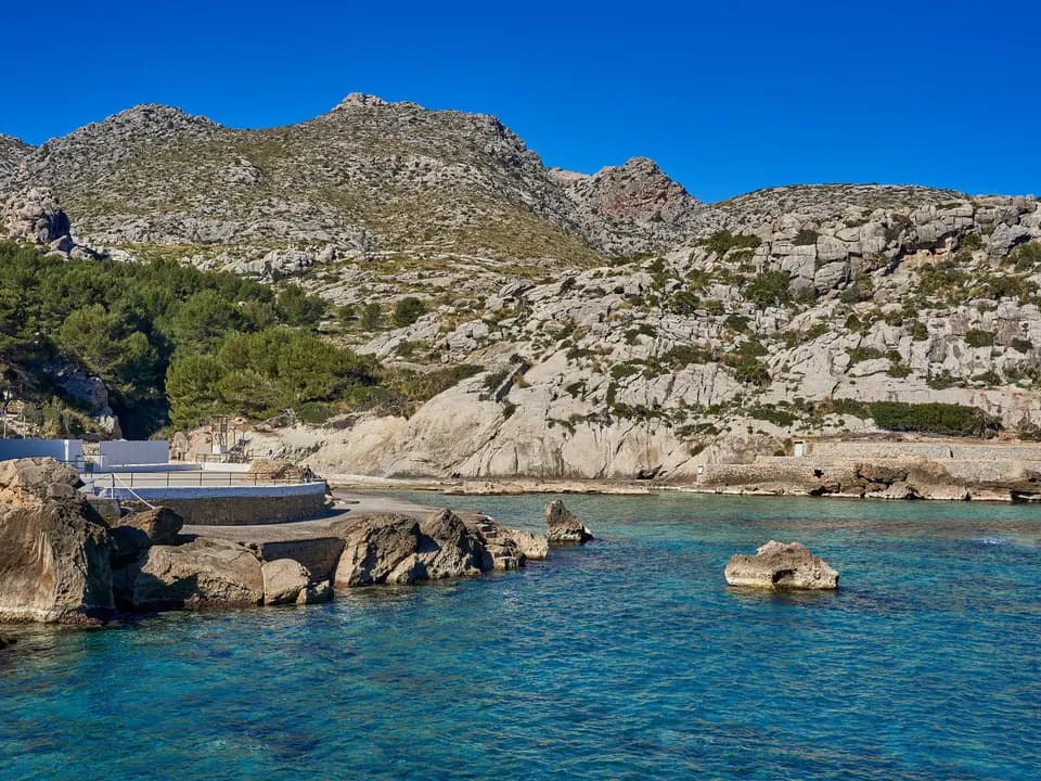 A turquoise cove below pine-covered cliffs at Cala Sant Vicenç on Mallorca